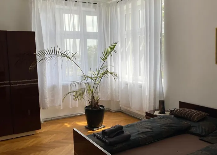 Honiger Historic Townhouse Center 12min - Airport 11min דירה וינה